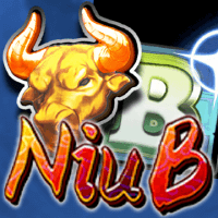 Niu B