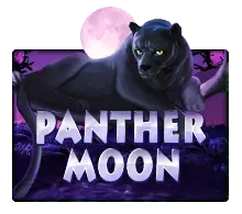 Panther Moon