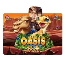 Oasis